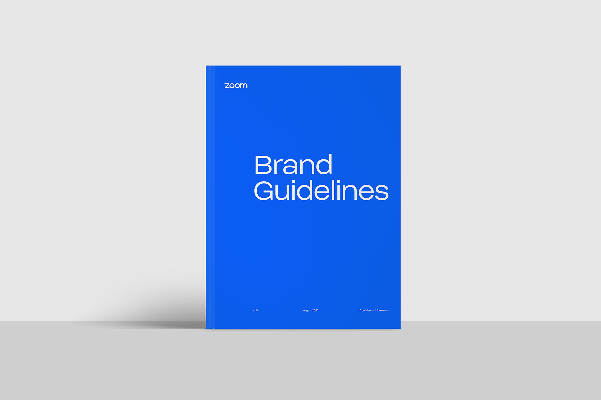 Arron Bleasdale - Zoom Brand Guidelines