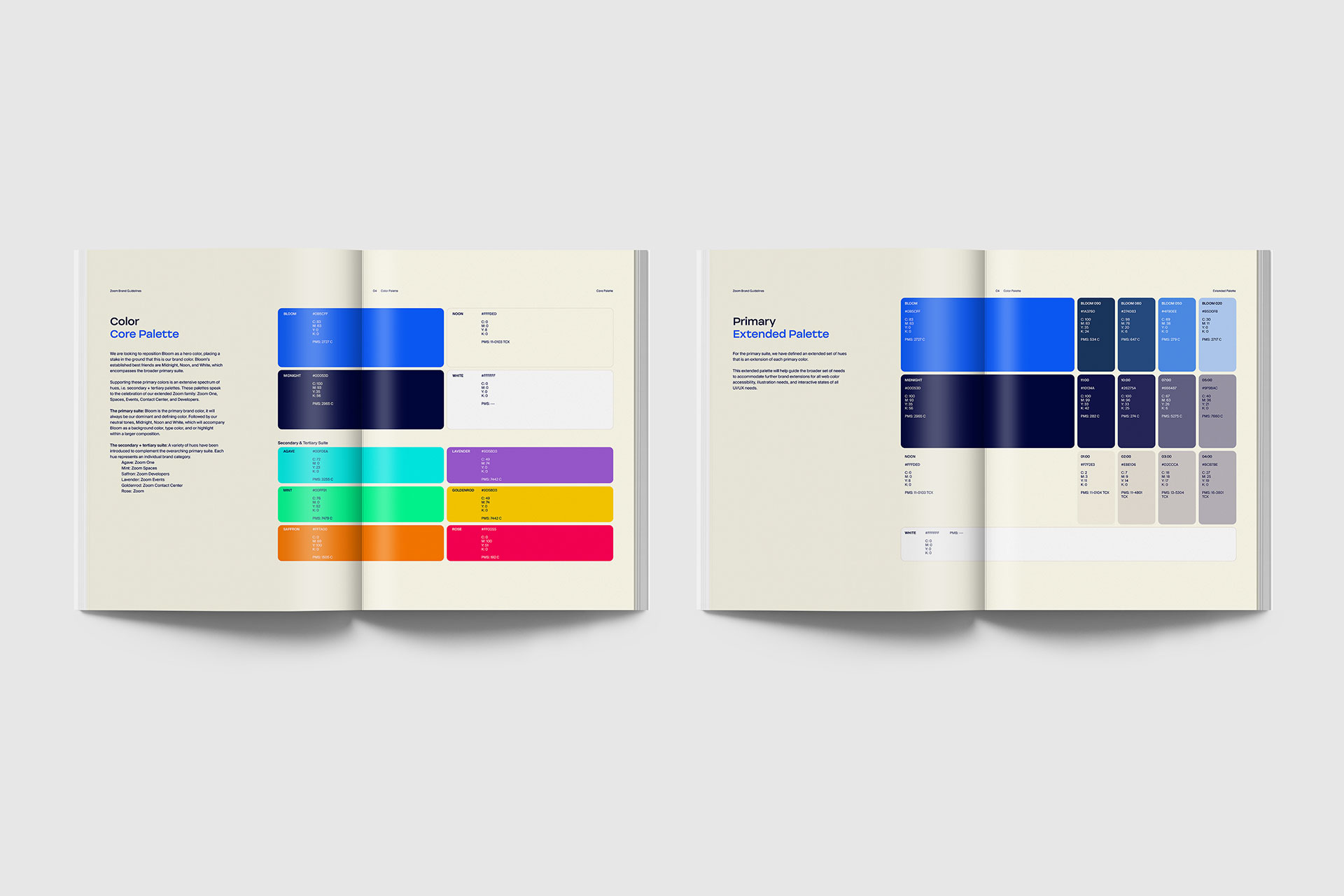 Arron Bleasdale - Zoom Brand Guidelines