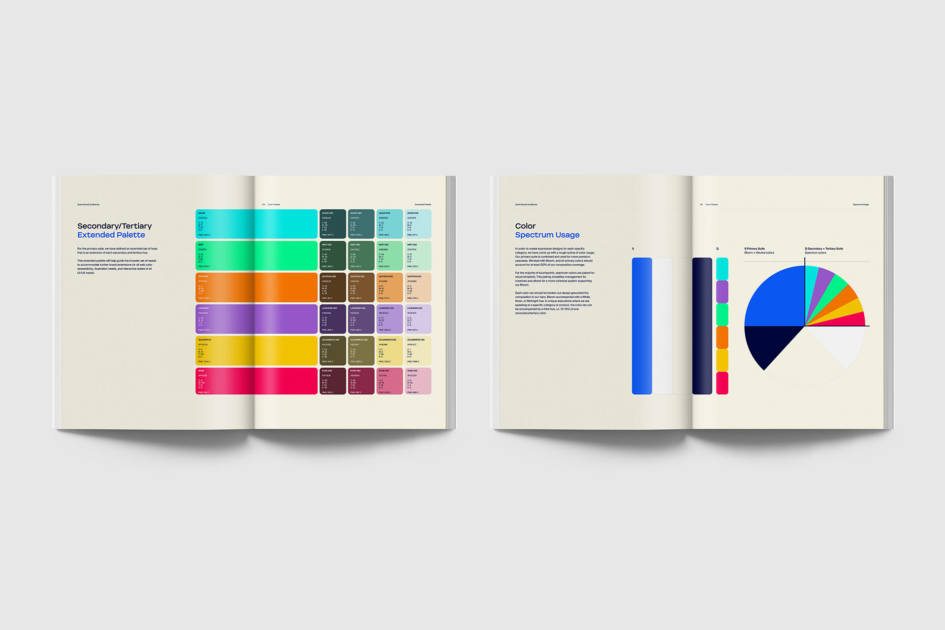 Arron Bleasdale - Zoom Brand Guidelines